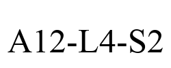 A12-L4-S2