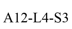 A12-L4-S3