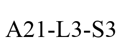 A21-L3-S3
