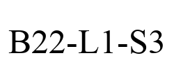 B22-L1-S3
