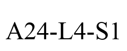 A24-L4-S1