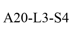 A20-L3-S4