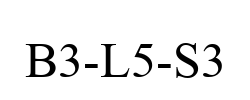 B3-L5-S3 B3-L5-S3