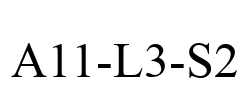 A11-L3-S2