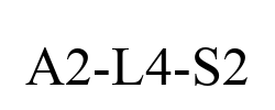 A2-L4-S2