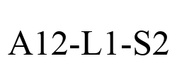 A12-L1-S2