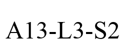 A13-L3-S2