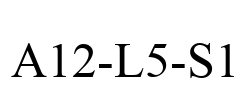 A12-L5-S1