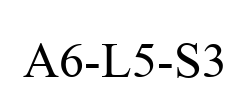 A6-L5-S3