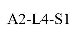 A2-L4-S1