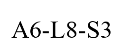 A6-L8-S3