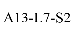 A13-L7-S2