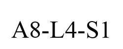 A8-L4-S1