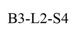 B3-L2-S4