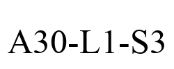 A30-L1-S3