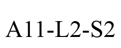 A11-L2-S2