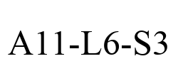 A11-L6-S3