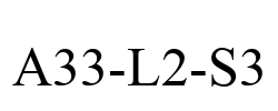 A33-L2-S3
