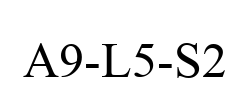 A9-L5-S2