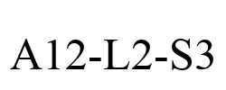 A12-L2-S3