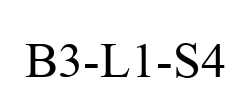 B3-L1-S4