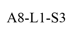 A8-L1-S3
