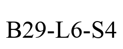 B29-L6-S4