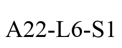 A22-L6-S1