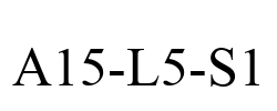 A15-L5-S1