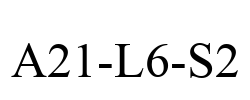 A21-L6-S2