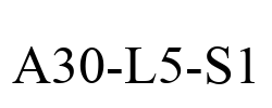 A30-L5-S1