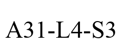 A31-L4-S3
