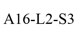 A16-L2-S3