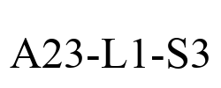 A23-L1-S3