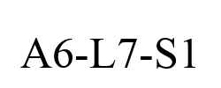 A6-L7-S1