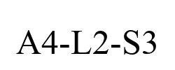 A4-L2-S3