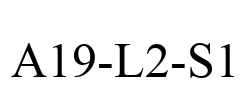 A19-L2-S1