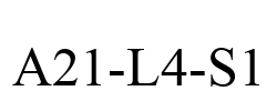 A21-L4-S1