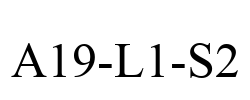 A19-L1-S2