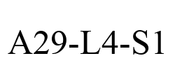 A29-L4-S1