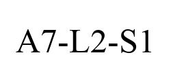 A7-L2-S1