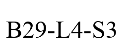 B29-L4-S3