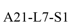 A21-L7-S1