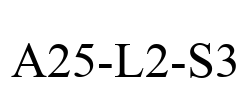 A25-L2-S3