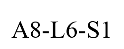 A8-L6-S1