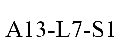 A13-L7-S1