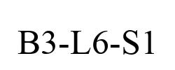 B3-L6-S1