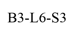 B3-L6-S3