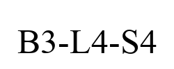 B3-L4-S4 B3-L4-S4