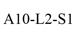 A10-L2-S1